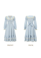 Curve & Plus Miss Clara Dress