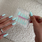 Tiffany Mimosa