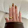 Golden Tortoiseshell