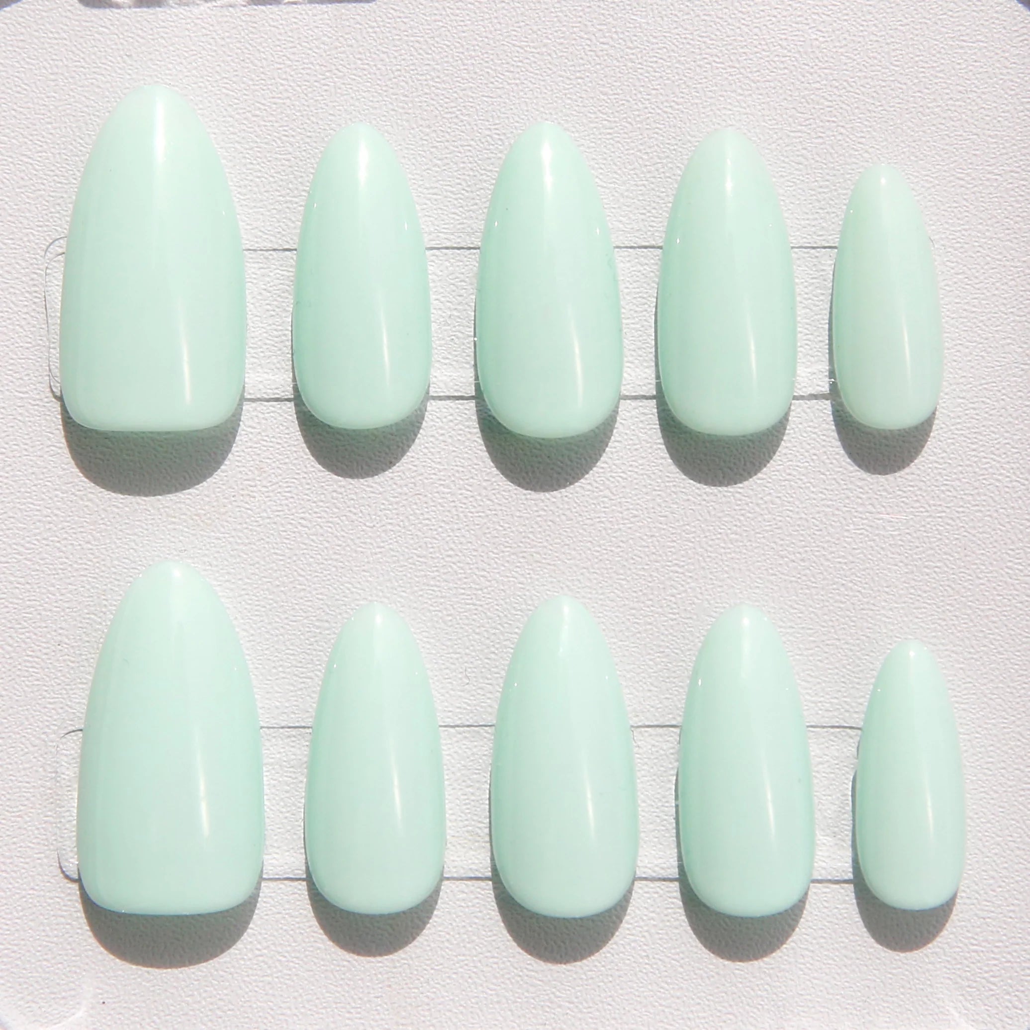 Tiffany Mimosa